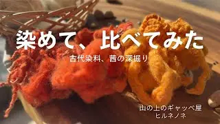 ギャッベ屋が庭の日本茜と西洋茜で羊毛を染める｜同じ赤、その違いを感じる#ニホンアカネ#セイヨウアカネ#茜染めギャッベ#草木染め#茜染め