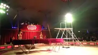 Cirkus Brazil Jack i G&ouml;teborg 2013
