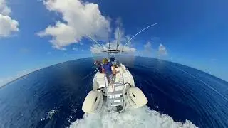 Game fishing Matafonua, Sandy beach, Ha'apai kingdom of Tonga
