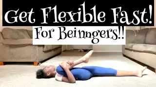 Beginner Flexibility Routine.