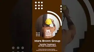 How We Professionally Kill Termites Before They Kill Your Home | Mars Brown Pakistan