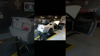 Cammed 3V Mustang With Kenne Bell Supercharger dyno pull #mustangs #supercharged #cammed #s197