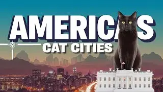 America Top Cat-Friendly Cities!🐈&zwj;⬛😼