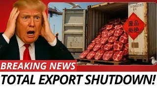 BREAKING! 94% Collapse in U.S. Farm Exports: America&rsquo;s Agricultural Crisis Unfolds