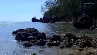 Relaxing Sound of Waves and Melodious Bird Sounds Relaxing Calm, Makes the Soul Relaxed & Prosperous