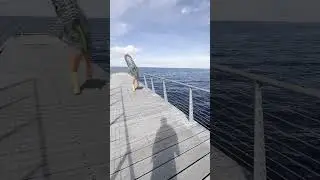 Reverse mermaid on land?!