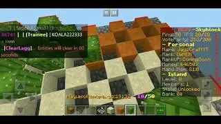 Chunk Cactus Farm - Chunk Hoppers