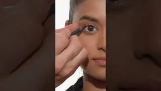 Best Eyeliner Brush for Precision