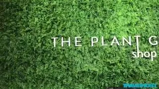 The Plant Guy Video