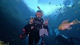 Last Dive of 2025!
