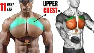 11 BEST UPPER CHEST WORKOUT AT GYM