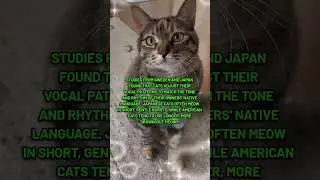 Do you know about this study? 🐈 #catreels