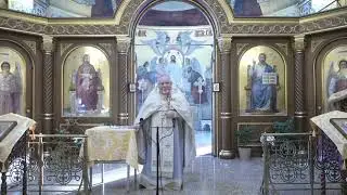 ВРЕМЯ ВЕЛИКОГО ПОСТА - ЭТО ПАЛОМНИЧЕСТВО ВНУТРЬ СЕБЯ ПРОПОВЕДЬ ХРАМ СРЕТЕНИЯ ГОСПОДНЯ СПБ 01.02.26