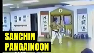 Sanchin kata al estilo Pangainoon - Shinyu Gushi Sensei