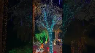 The Arcadia Christmas house in Phoenix, Arizona. Merry Christmas!