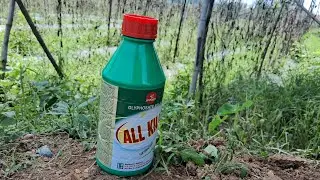 All Kill Glyphosate 41%5 |