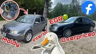 Scummy Cheap to Overpriced: MK4 TDI Listings Exposed