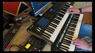 The Next Door - Donkey AdamL. - Arturia MKII 61/ Yamaha PSR S775
