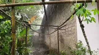 МОЖЕТЕ ЛИ ВЫ С ЭТИМ СПРАВИТЬСЯ? ⛈️ Heavy rain and strong winds in rural Indonesia 🌧️⚡ Overcome inso