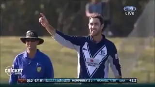GLENN MAXWELL BEST EVER WICKET!!!