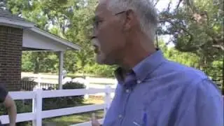 Crazy ant workshop