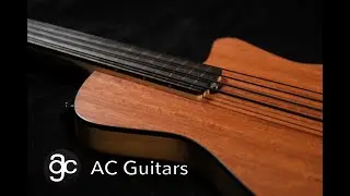 New Custom Bass Guitar: ACG Mule Fretless 4 String