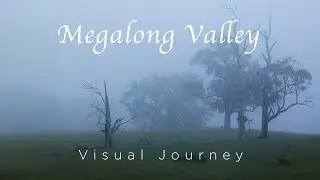 A Foggy Morning in the Valley | Landscape Photography in the Megalong Valley