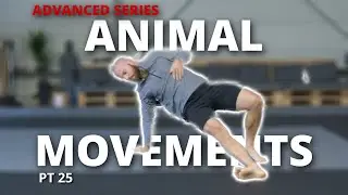 10 Movements in 20 Minutes I Full Body Movement Flow (follow along)