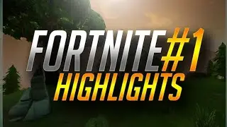 DMG_REVENGE  Highlights  #1