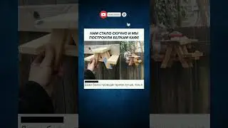 🤣🤣🤣 #funny #shorts #humor #laugh #jokes #comedy #prank #memes #germany #україна