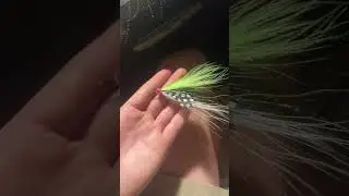 First pike fly I have ever tied comment down below how you think it is one out of 10 #FlyTying #Fyp