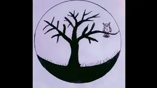 how to draw circle drawing #tree owl drawing easy #video 🤩