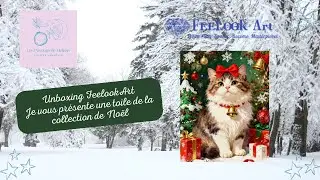 ✨Unboxing Jingle - Diamond Painting @feelookart 😻✨