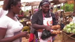 Why do we need to increase nutrition in Cassava?