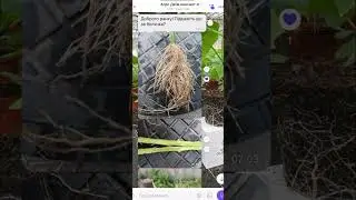 Агро допомога від Тім агро консалт