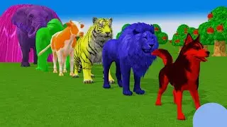 Wild Animal Cage Challenge: Don't Break The Wrong Wall with Long Slide Fun! 🐘🦁🦓 | 3D Animation