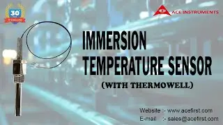 Immersion Temperature Sensor with thermowell