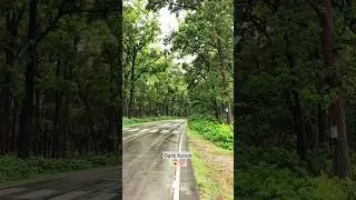The dark forest of Uttar Pradesh 😱💯 #yt #shorts #trending #viral