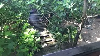 Sea Hut Homestay - Premises - Kochi, Kerala, India -  01/12/22