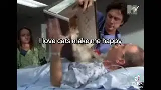 cats 🥺