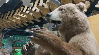 Virtual Tour of the Jurica-Suchy Nature Museum