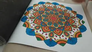 SPEED COLORING MANDALA - NAMASTE ADULT COLORING BOOK - INDIAN COLOURIST
