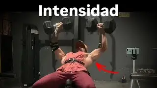 Significado de INTENSIDAD! 🦍