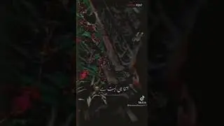 Emotional video | Eid Without Baba 😭 | sad TikTok