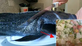 Black Sea Bass Ceviche Recipe
