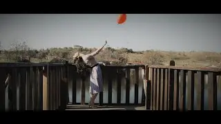 Wings - ΔΑΝΑΗ