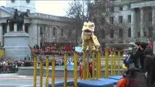 Chinese New Year. London Trafalgar Squere Dragon Dance