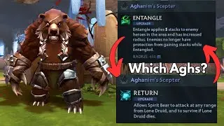 Everyone Is Using Lone Druid Aghs Wrong..
