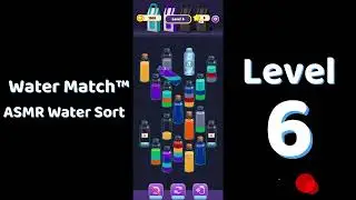 Water Match Level 6 | ASMR Water Sort Puzzle 🧠💧 Relaxing Brain Game | Mini Boss
