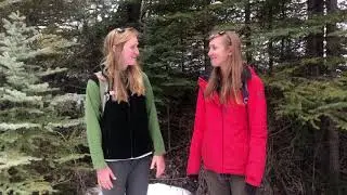 Fifth Grade Virtual Field Trip: Ecosystem Exploration